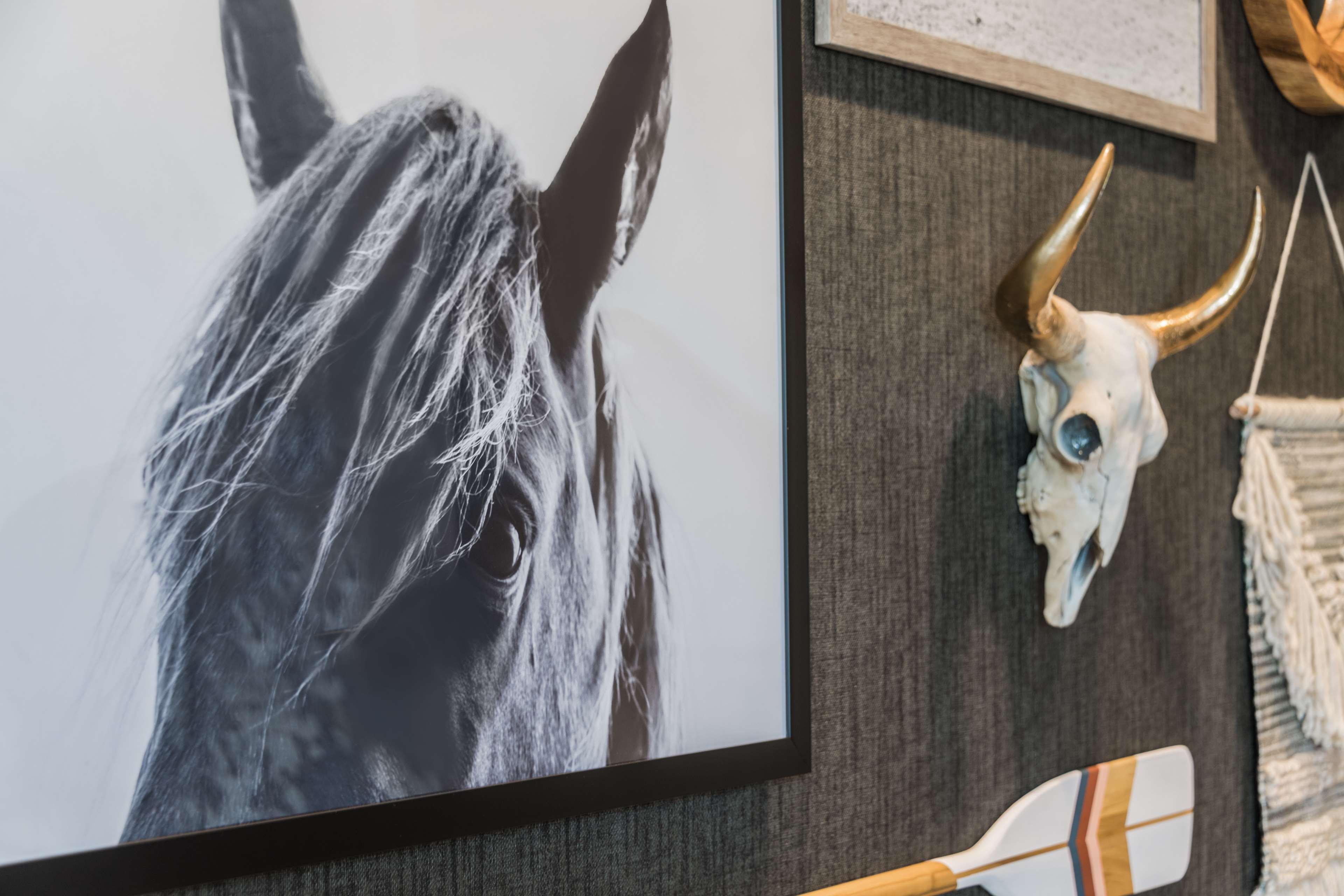 Hyatt Place Westminster Denver Εξωτερικό φωτογραφία